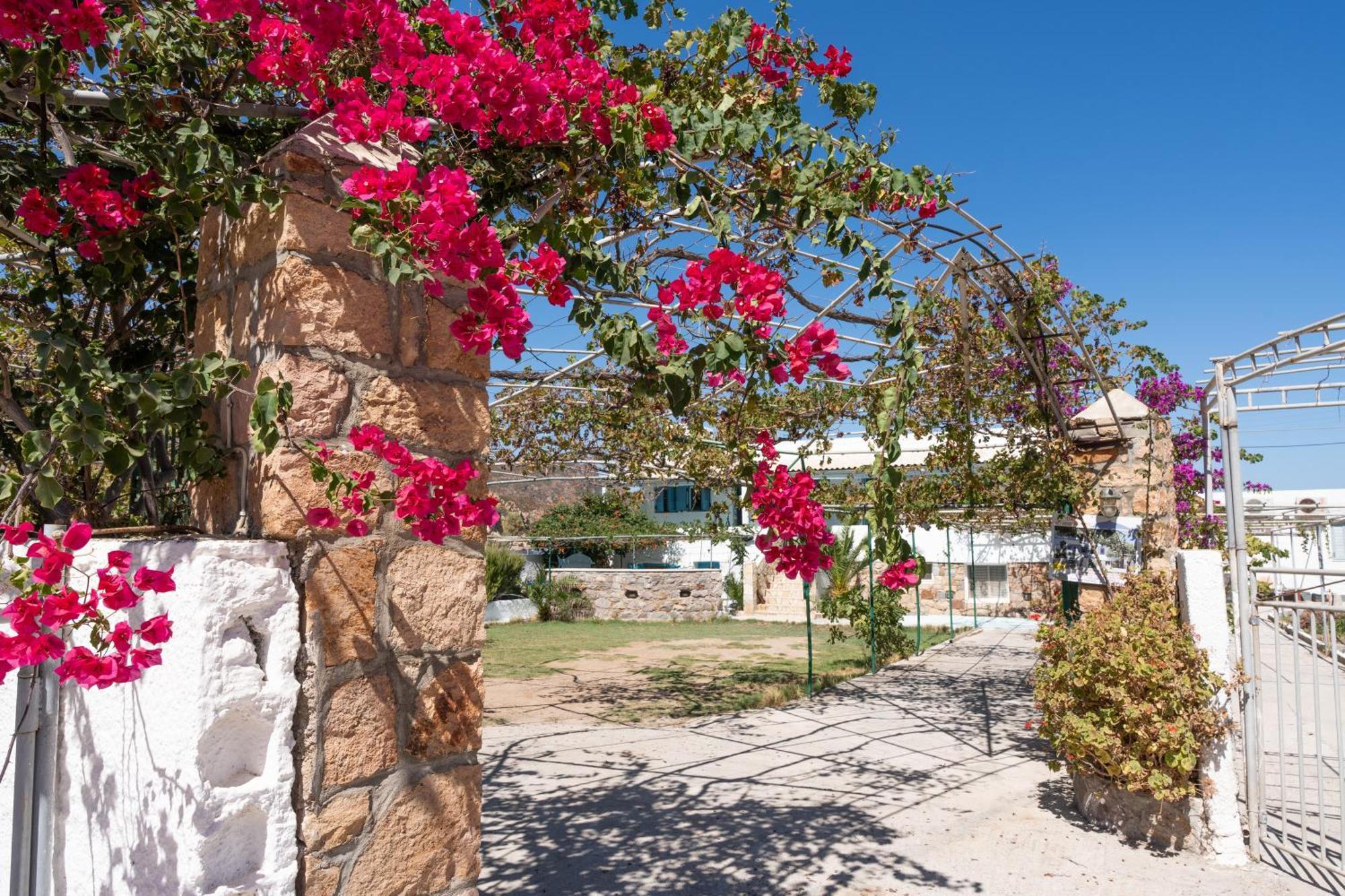 Beachfront Lampis Dolphin 4 Skála Exterior foto
